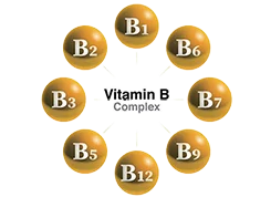 Vitamin B Complex